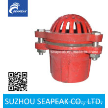 Cast Iron Red Foot Valve